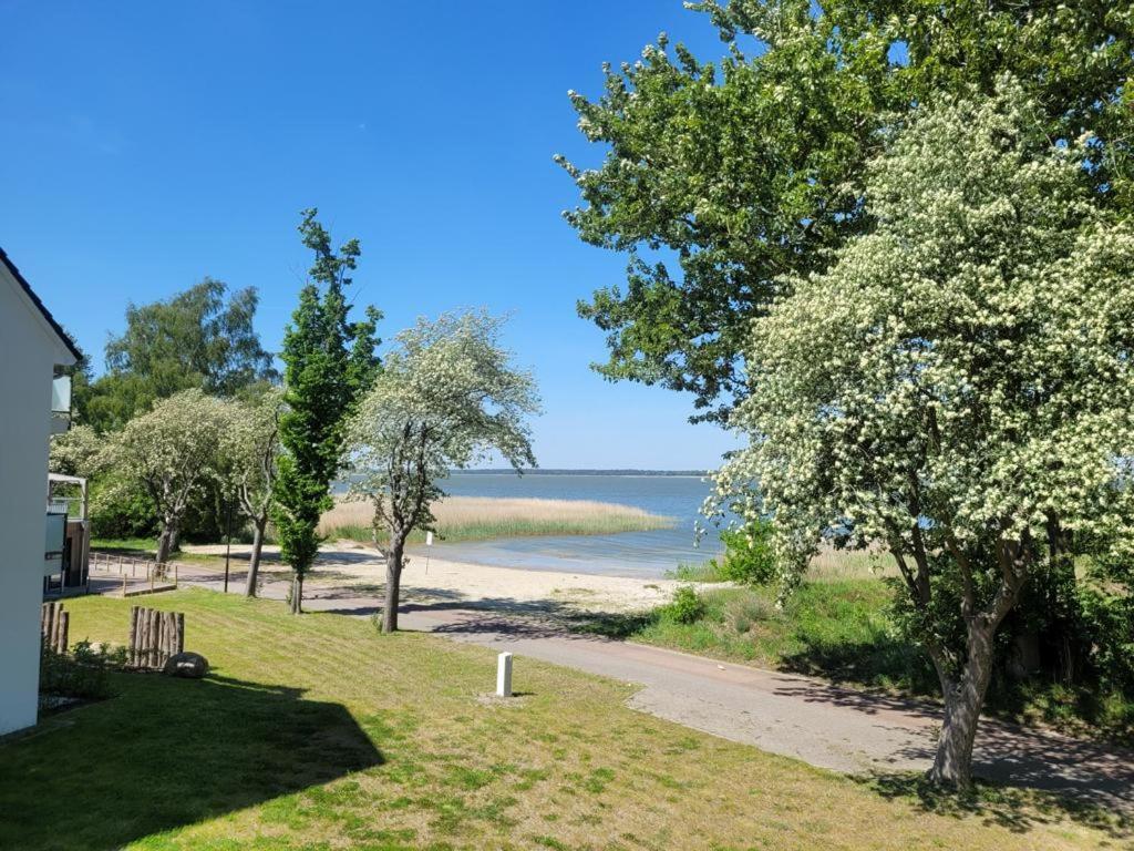 Baltic Lagoon Resort Direkt Am Meer Fuhlendorf  Exteriér fotografie